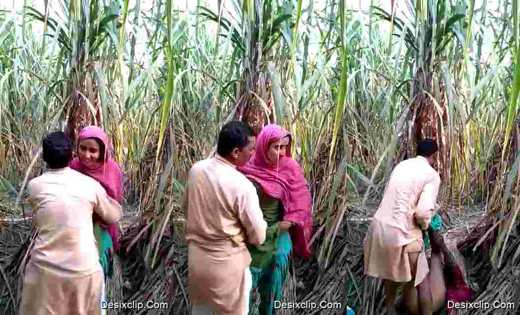 Muslim Uncle Fucking Young desi Girl in Jungle Video